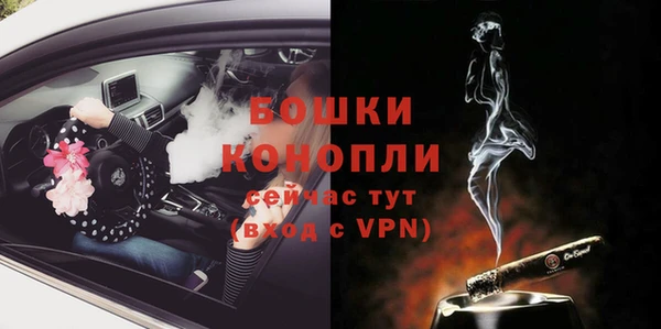 молекула духа Тихвин