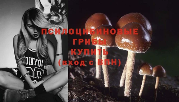 спиды Верхний Тагил